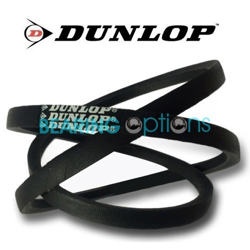 Replacement toro - replacement, (dunlop)